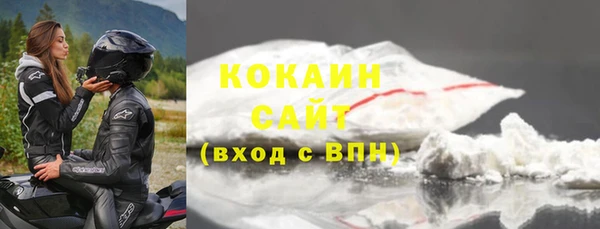 шишки Алексин
